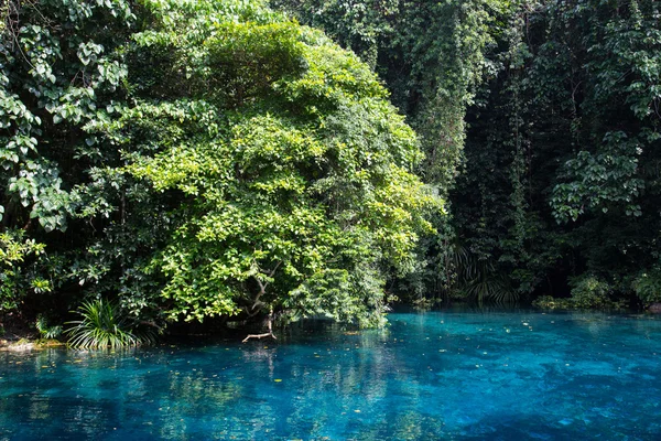 Blaues Loch, Vanuatu-Ansicht — Stockfoto