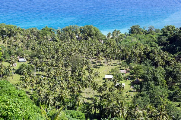 Litorale Vanuatu vista — Foto Stock