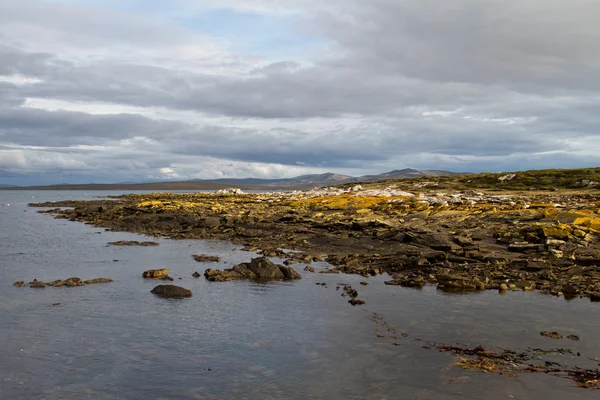 Paisaje Islas Malvinas —  Fotos de Stock