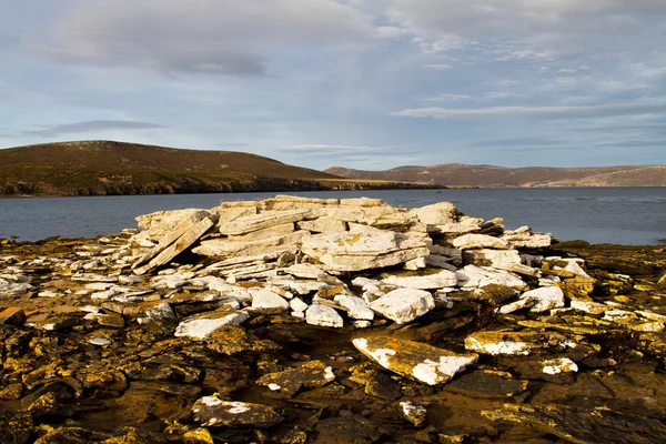Linia brzegowa Wysp Falklandzkich — Zdjęcie stockowe