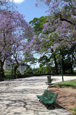 Buenos Aires Park