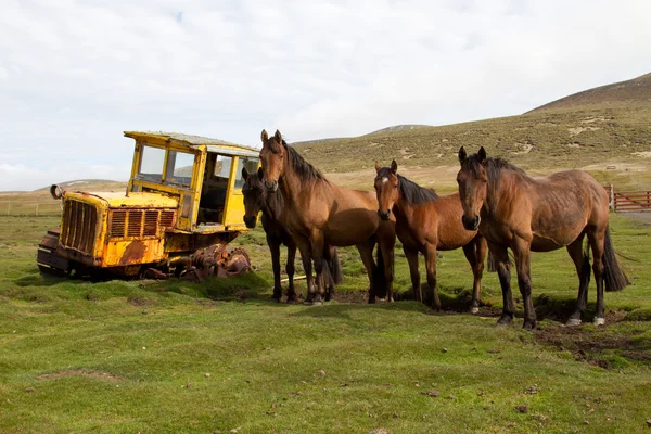 Old dredger and horses — Stock Photo, Image