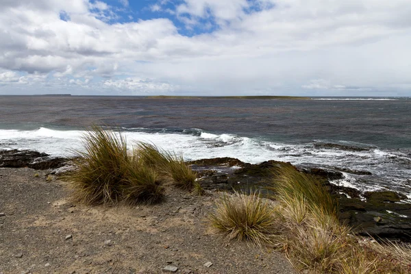 Falkland Island Coastline — Stock Photo, Image