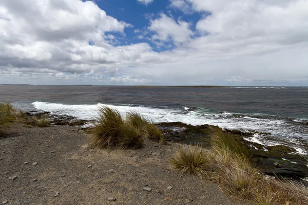 Falkland Island Litoral — Fotografia de Stock