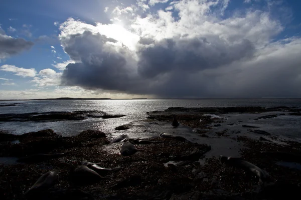 Tempestade nas Ilhas Malvinas — Fotografia de Stock