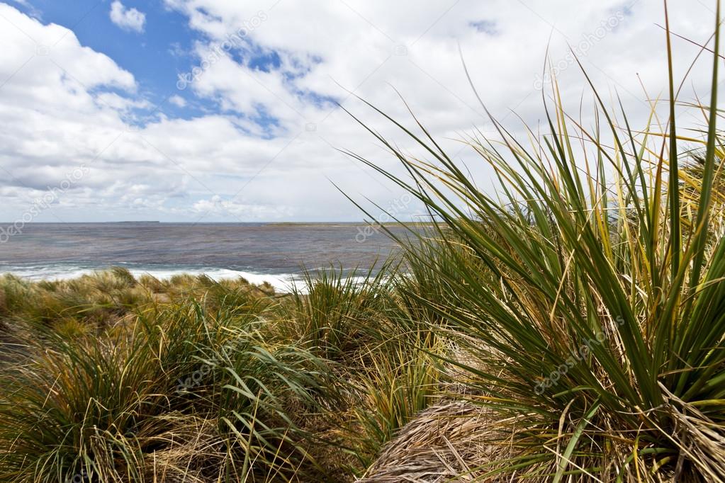 Falkland Island Coastline