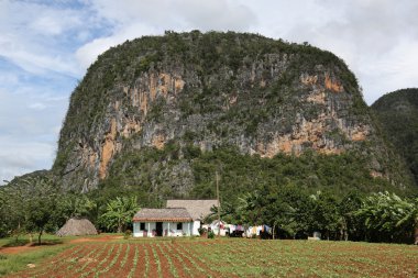 Küba, Vinales Vadisi
