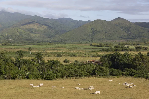 Cuba, Trinidad, Landscape — Stock Photo, Image