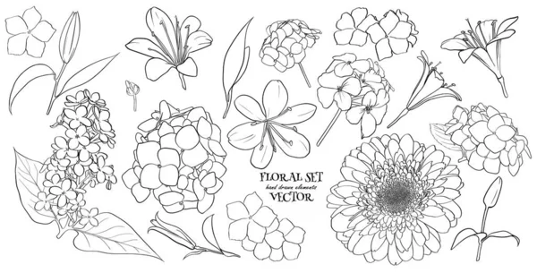 Vektorillustration - Blumen, Blätter und Zweige. Handgefertigte Gestaltungselemente im Skizzenstil. Perfekt für Einladungen, Grußkarten, Tattoos, Drucke. — Stockvektor