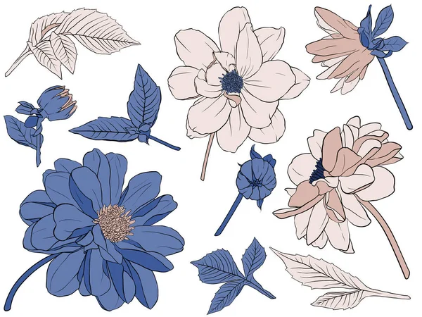 Векторна ілюстрація - Квітковий набір квітів, листя і гілок. Ручні елементи дизайну виконані в стилі кольорового ескізу. Ідеально підходить для запрошень, вітальних листівок, татуювань, принтів . — стоковий вектор
