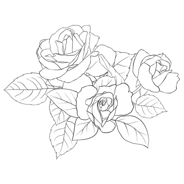 Διάνυσμα Σύνθεση Από Λεπτά Τριαντάφυλλα Και Φύλλα Εικόνα Περιγράμματος Χέρι — Διανυσματικό Αρχείο