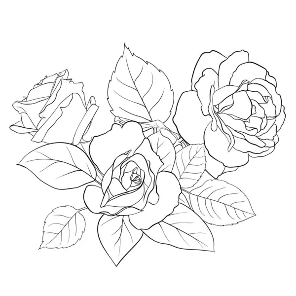 Composition Vectorielle Délicates Roses Feuilles Illustration Contour Main Illustration Pour — Image vectorielle