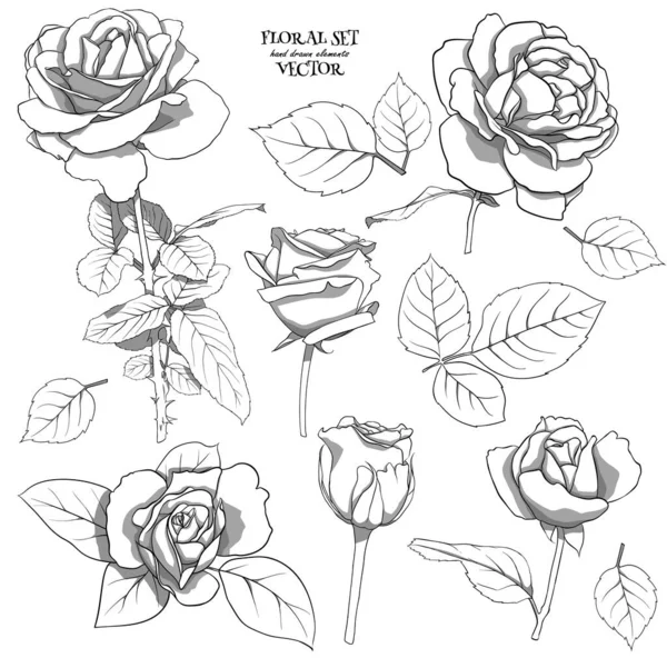 Квітковий набір з ніжних троянд з листям. Набір монохромних малюнків для квіткових композицій для прикрас, дизайну листівок, текстилю, паперу, принтів, тканини тощо. Векторна графіка . — стоковий вектор