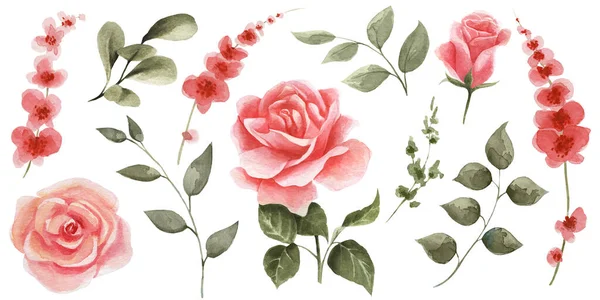 Набір Весняних Квітів Білому Тлі Акварельні Рожеві Троянди Червоні Квіти — стокове фото