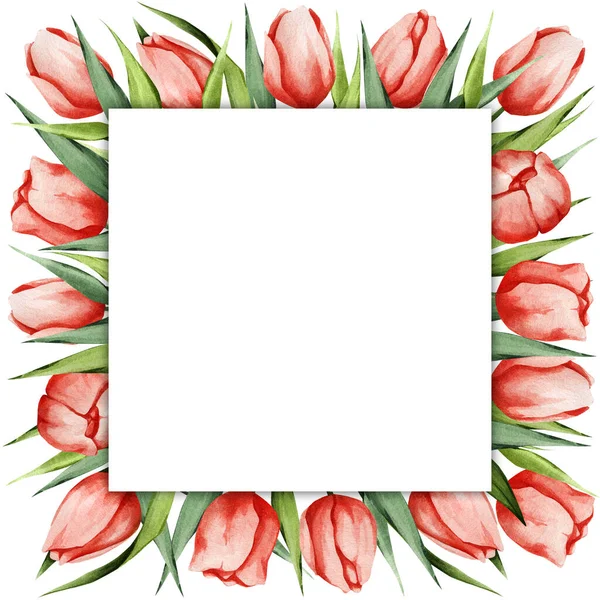 红色郁金香的水彩画框架 背景与春天的花朵 假日卡片 邀请函 — 图库照片