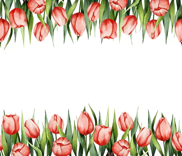 Floral Watercolor Background Red Tulips Spring Illustration Suitable Banners Postcards — Stock Photo, Image