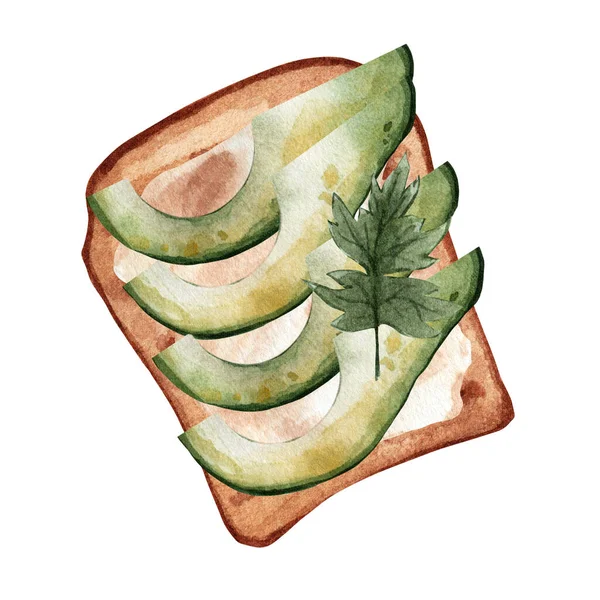 Акварельный Сэндвич Стиле Авокадо Здоровый Завтрак Иллюстрация Вегетарианская Здоровая Еда — стоковое фото
