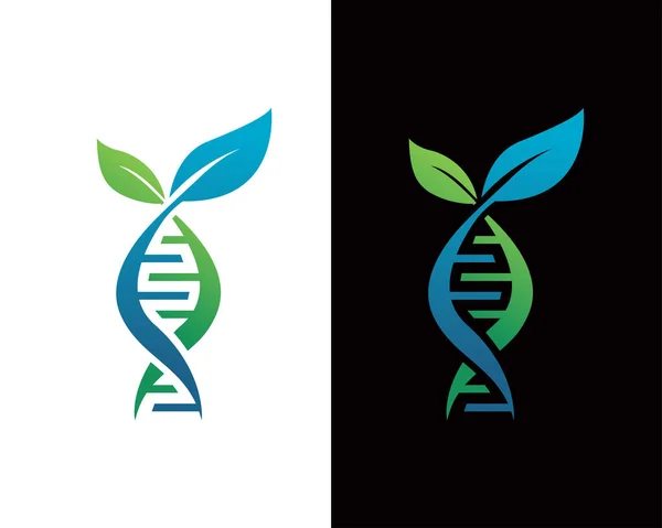 Abstract Biotechnologie Water Leaf Dna Drop Logo Design Goud Energie — Stockvector