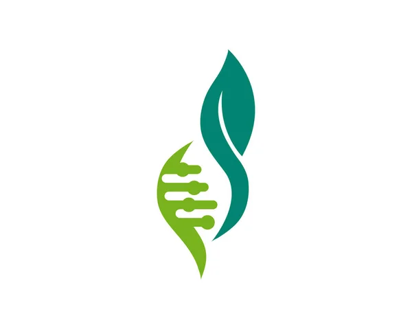 Diseño Abstracto Del Logotipo Gota Adn Hoja Agua Biotecnología Oro — Vector de stock