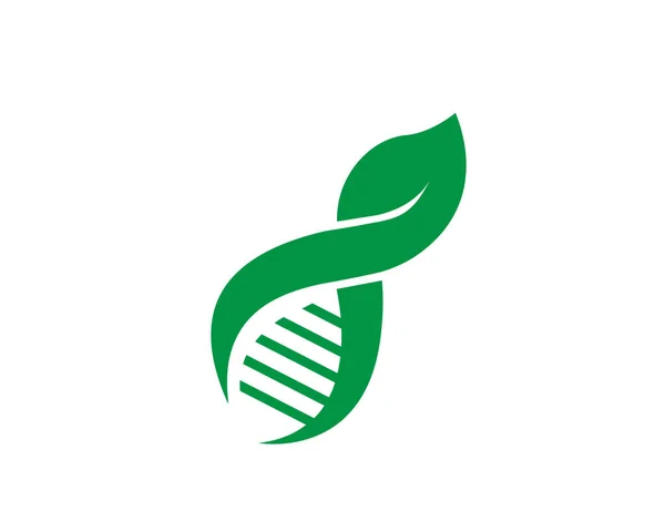 Abstract Biotechnologie Water Leaf Dna Drop Logo Design Goud Energie — Stockvector