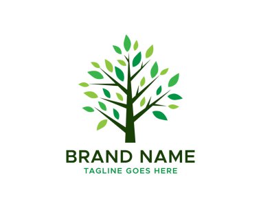 Ağaç logosu şablonu tasarımı. Bahçe bitkisi doğal çizgi sembolü. Yaprak işaretiyle siyah dal. Vektör illüstrasyonu.