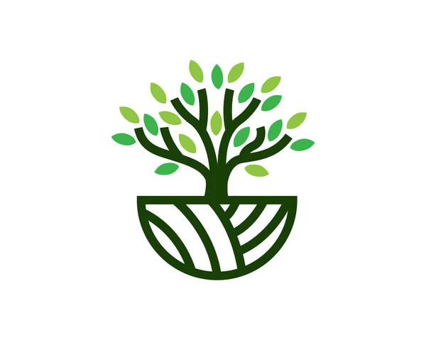 Boom Logo Pictogram Template Ontwerp Tuin Plant Natuurlijke Lijn Symbool — Stockvector