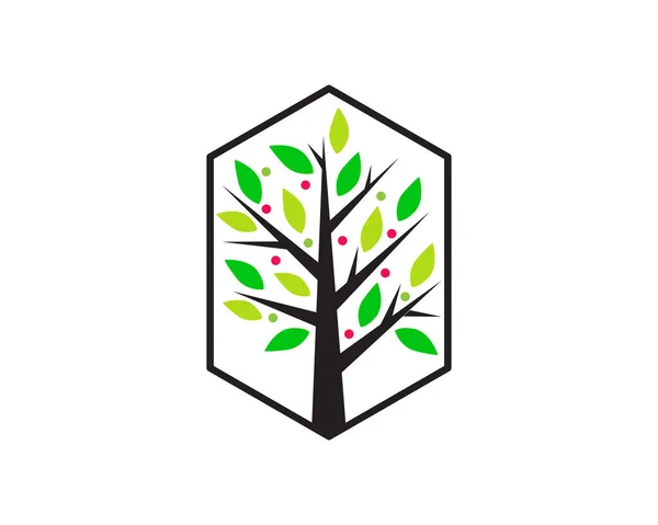 Дизайн Шаблону Значка Логотипу Дерева Садова Рослина Символ Природної Лінії — стоковий вектор