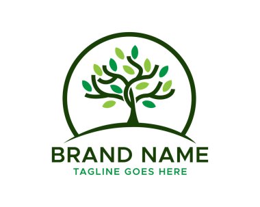 Ağaç logosu şablonu tasarımı. Bahçe bitkisi doğal çizgi sembolü. Yaprak işaretiyle siyah dal. Vektör illüstrasyonu.