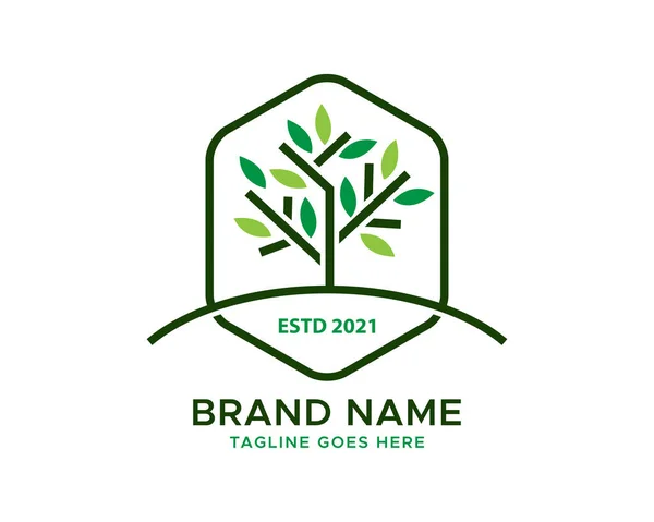 Baum Logo Icon Vorlage Design Gartenpflanze Natürliche Linie Symbol Schwarzer — Stockvektor