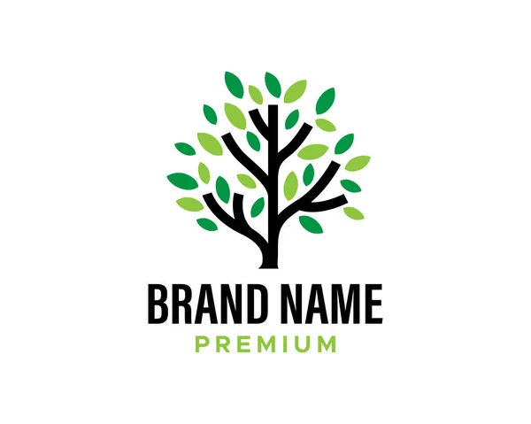 Baum Logo Icon Vorlage Design Gartenpflanze Natürliche Linie Symbol Schwarzer — Stockvektor