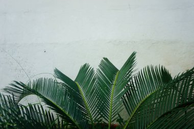 Tanah Baru, Depok, Endonezya 6 Haziran 2021 - Minimarket otoparkındaki sabah atmosferi hala boş..