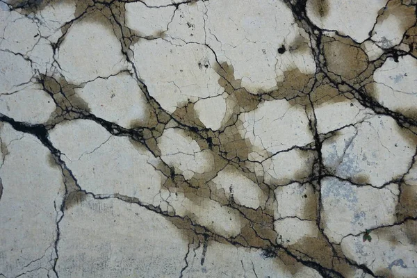 Polonyalı beton döşeme çatlağı.