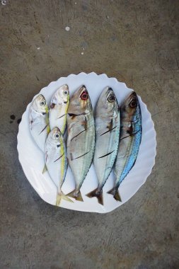 Taze uskumru balığı ve sarı çizgili Scad balığı beyaz tabak arka planında izole edilmiş.