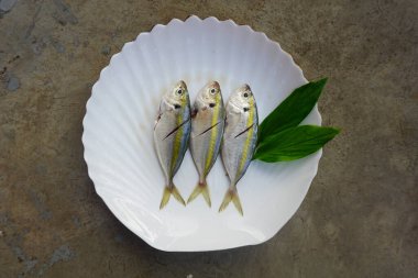 Fresh yellowstripe Scad fish isolated on the white plate background - top view clipart