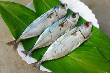 Yaprakta taze uskumru balığı ve arka planda beyaz tabak.