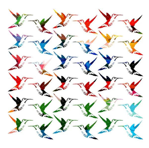 Цветные колибри — стоковый вектор