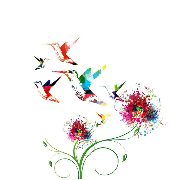 Sfondo colorato con colibrì . — Vettoriale Stock