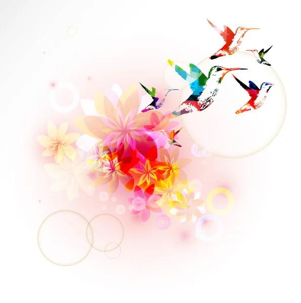 Fond coloré avec des colibris . — Image vectorielle