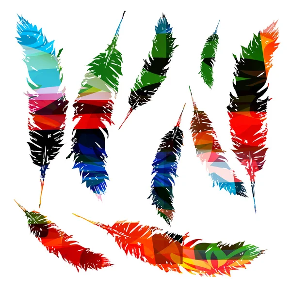 カラフルな羽毛のパターン — ストックベクタ