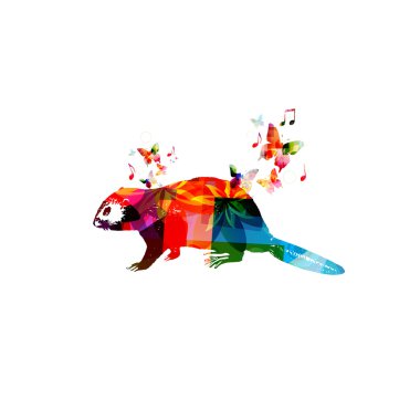 Renkli kunduz tasarım