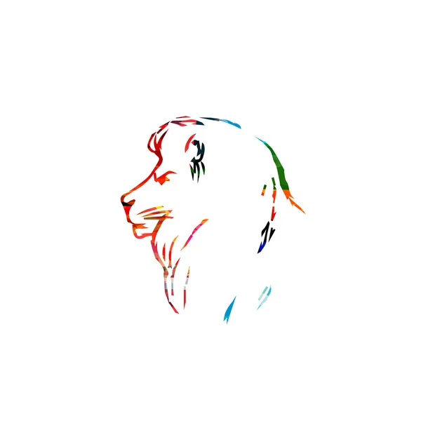 Barevné lví hlavou zblízka — Stockový vektor