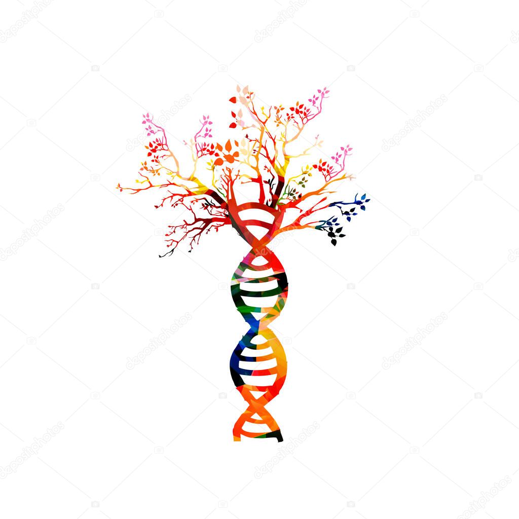 Human DNA double helix with tree colorful concept vector illustration. DNA spiral isolated design for genetics, biotechnology, science, research and lab