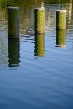 Fransa 'da bir göle kurulmuş sütunların su yansımasını kapat