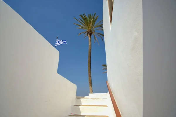 Whitewashed Steps Lead Palm Tree Greek Flag Blue Sky Ios — Foto de Stock