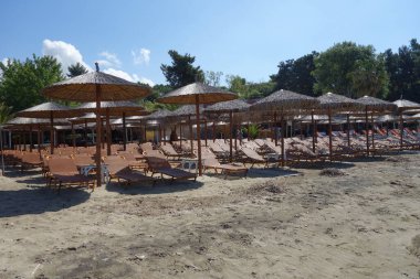 Yunanistan 'da Chalkidiki' de boş güneşlik ve şemsiyeli bir sahil barı