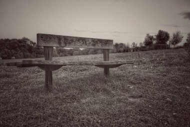 Parktaki ahşap bank siyah beyaz 