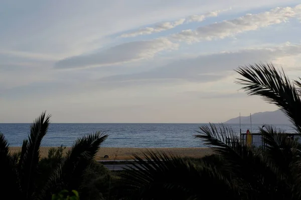 Blick Auf Palmen Vor Dem Berühmten Strand Von Mylopotas Griechenland — Stockfoto
