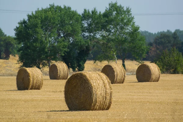 Strobalen veld — Stockfoto