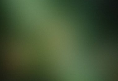 Grainy Bulanık Gradyan Arkaplan, Matte Cam Efekti, Yeşil Doğal