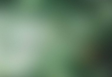 Grainy Bulanık Gradyan Arkaplan, Matte Cam Efekti, Yeşil Doğal